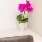 At 4 & Apartment *
